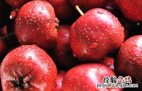 山楂的营养价值高吗 山楂的营养价值