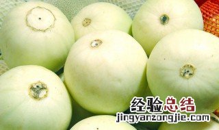 白香瓜的功效与作用 白香瓜的功效与作用及营养价值