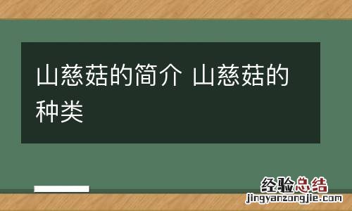 山慈菇的简介 山慈菇的种类