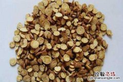 生甘草与炙甘草的区别 生甘草与炙甘草的区别的功效与作