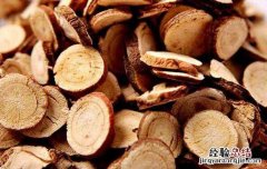 炙甘草和甘草的区别 炙甘草和甘草的区别是什么