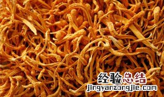 虫草怎么吃效果最好 虫草怎么吃