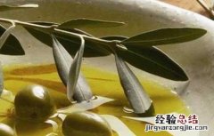 橄榄油的美容方法100种 橄榄油的美容方法