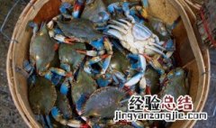 河蟹怎么煮 河蟹怎么煮好
