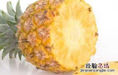 菠萝的营养价值 凤梨跟菠萝的营养价值