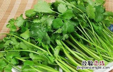 香菜的营养价值有哪些 香菜的营养价值