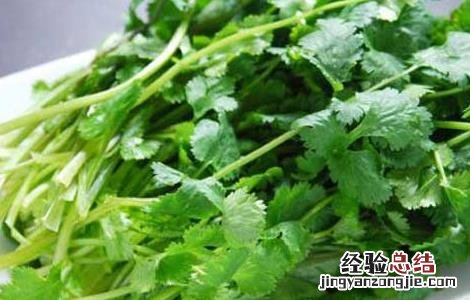 香菜的营养价值有哪些 香菜的营养价值