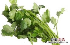 香菜的营养价值有哪些 香菜的营养价值