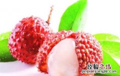 荔枝的营养价值 荔枝的营养价值与功效与禁忌
