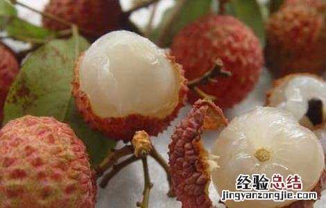 荔枝的功效与作用与禁忌 荔枝的功效与作用