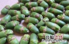 槟榔有什么作用 什么是槟榔,槟榔有什么作用