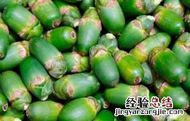 槟榔果有什么药物作用 槟榔果的药用价值与药用功效