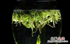 信阳毛尖的冲泡方法 信阳毛尖的冲泡方法上投还是下投