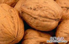 核桃的功效与作用及副作用 核桃的功效与作用