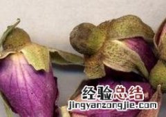 玫瑰花的功效与作用泡水喝的功效 玫瑰花的功效与作用