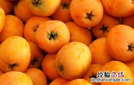 枇杷的营养价值有哪些 枇杷的营养价值