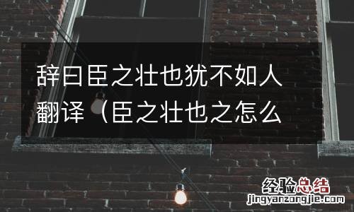 臣之壮也之怎么翻译 辞曰臣之壮也犹不如人翻译