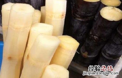 甘蔗的功效与作用及食用方法视频 甘蔗的功效与作用及食用方法