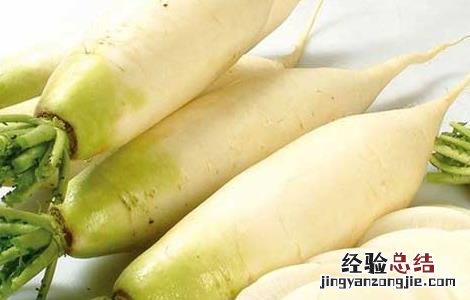 萝卜的作用与功效与作用 萝卜的作用与功效