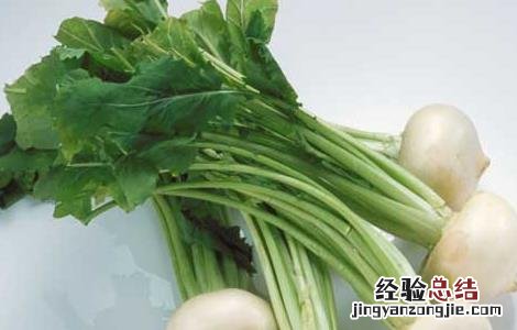 萝卜的作用与功效与作用 萝卜的作用与功效