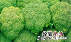 西兰花生长周期 西兰花生长周期共多少天