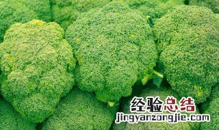 西兰花生长周期 西兰花生长周期共多少天