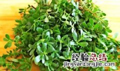 马齿苋炒肉怎么做好吃 马齿苋炒牛肉好吃的做法介绍