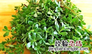 马齿苋炒肉怎么做好吃 马齿苋炒牛肉好吃的做法介绍