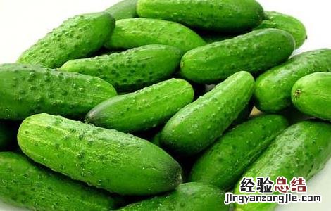 黄瓜的营养价值 水果黄瓜的营养价值