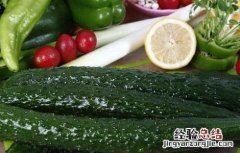 黄瓜的营养价值 水果黄瓜的营养价值