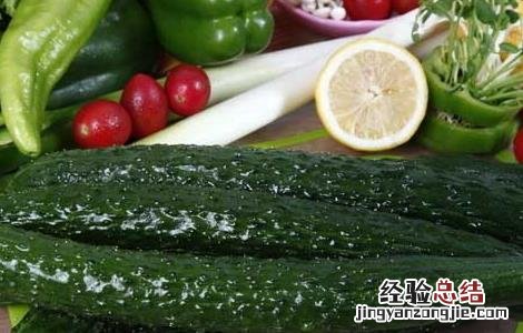 黄瓜的营养价值 水果黄瓜的营养价值