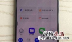 vivo vivos16