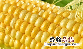 水果玉米和糯玉米热量高吗 水果玉米和糯玉米热量