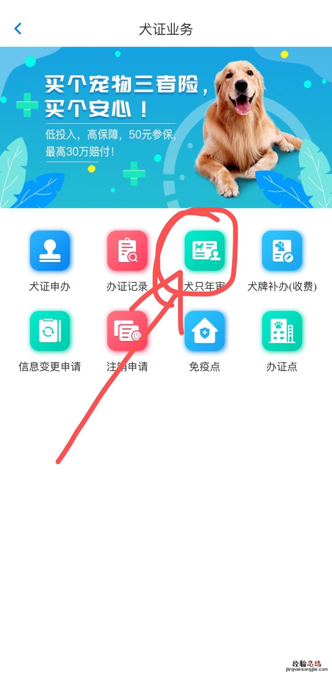 无锡市养犬管理办公室 无锡犬卫士app如何办理养犬年审