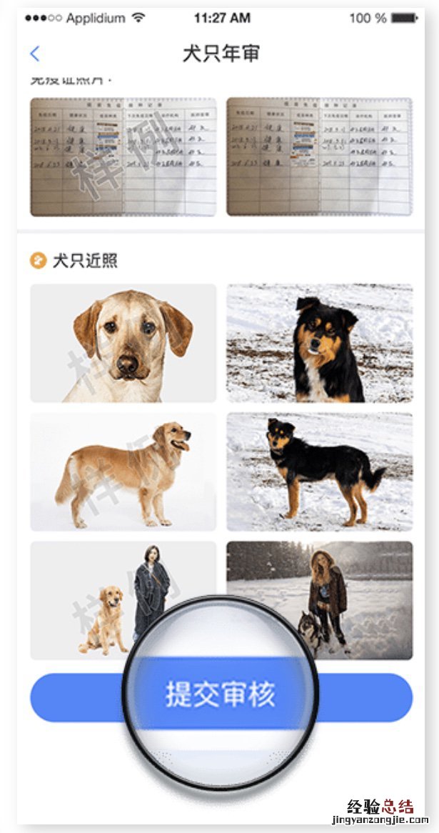 无锡养犬年审办理指南 无锡养犬登记证