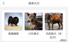 无锡可以养边牧吗 无锡可以养德牧吗？