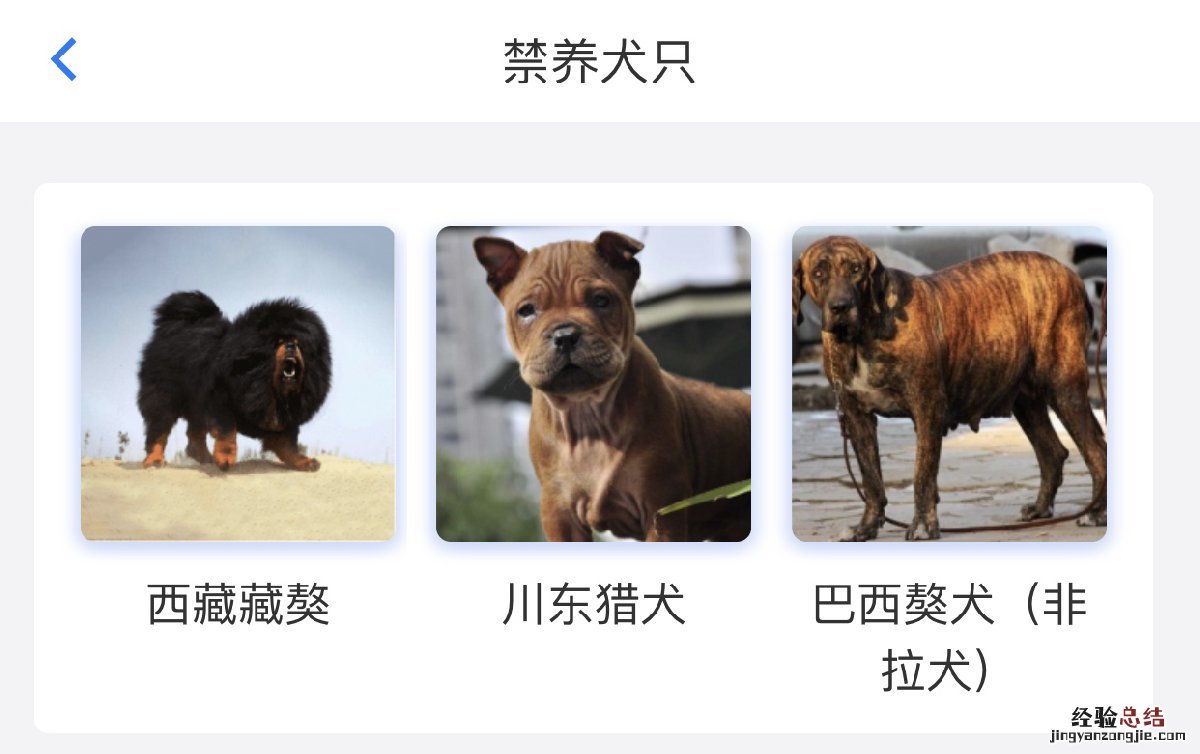 无锡可以养边牧吗 无锡可以养德牧吗?