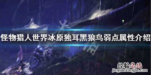 怪物猎人世界冰原独耳黑狼鸟弱点属性介绍 独耳黑狼鸟弱什么_网