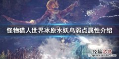 怪物猎人世界冰原水妖鸟弱点属性介绍 水妖鸟弱什么_网