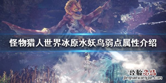 怪物猎人世界冰原水妖鸟弱点属性介绍 水妖鸟弱什么_网