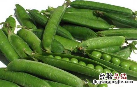 豌豆的营养价值 豌豆的营养价值表