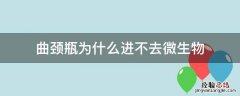 曲颈瓶为什么进不去微生物 为什么曲颈瓶细菌就进不去
