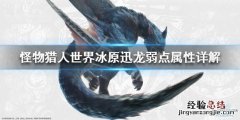 怪物猎人世界冰原迅龙弱点属性详解 怪物猎人世界冰原迅龙弱什么属性