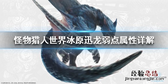 怪物猎人世界冰原迅龙弱点属性详解 怪物猎人世界冰原迅龙弱什么属性
