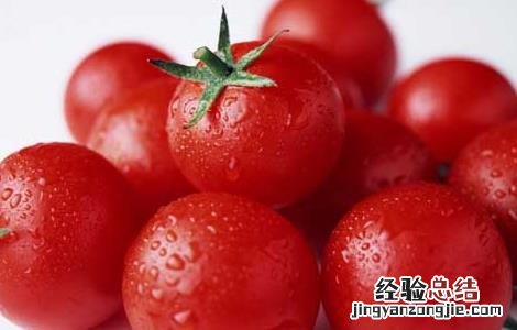 西红柿的营养价值 土豆的营养价值