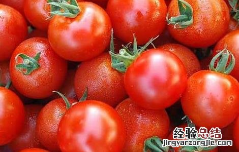 西红柿的营养价值 土豆的营养价值