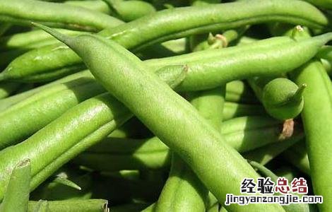 四季豆的营养价值 四季豆的营养价值与功效禁忌
