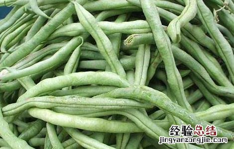 四季豆的营养价值 四季豆的营养价值与功效禁忌