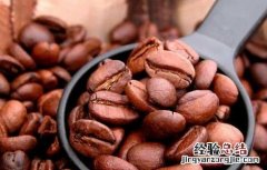 咖啡豆怎么磨成粉 咖啡豆怎么磨成粉末