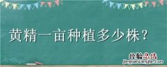黄精一亩栽多少株 黄精一亩种植多少株